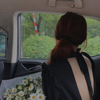 莲花仙子